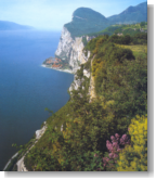 zur Gardasee Foto-Galerie ...