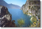 zur Gardasee Foto-Galerie ...